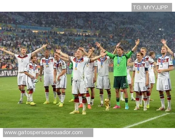 赫韦德斯的足球之路：从新星崛起到职业生涯的辉煌与挑战