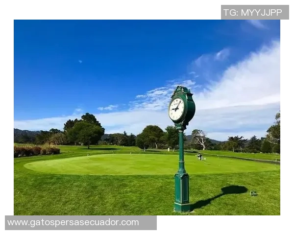 探索自然之美与冒险精神的结合土拨鼠户外活动全新体验等你来参与