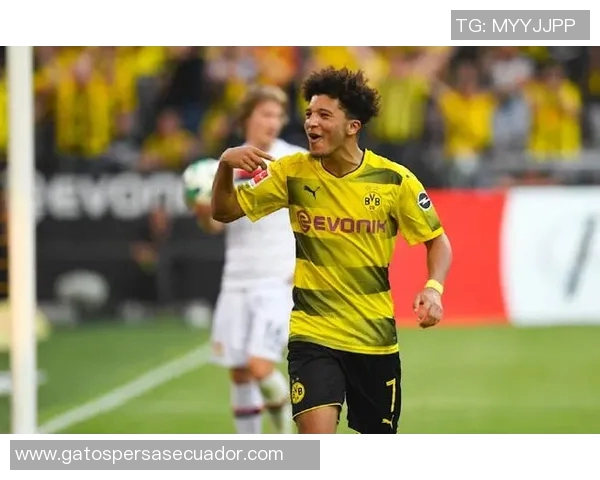 桑乔的足球之路：从天才少年到职业生涯的辉煌与挑战