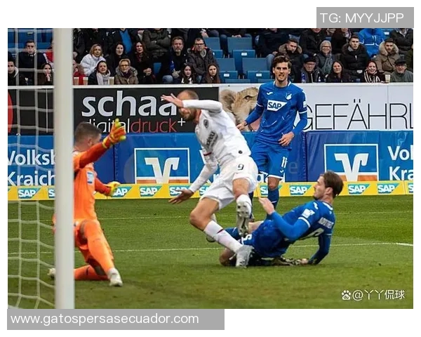 红星队与霍芬海姆的激烈对决展现足球魅力与团队精神的巅峰时刻