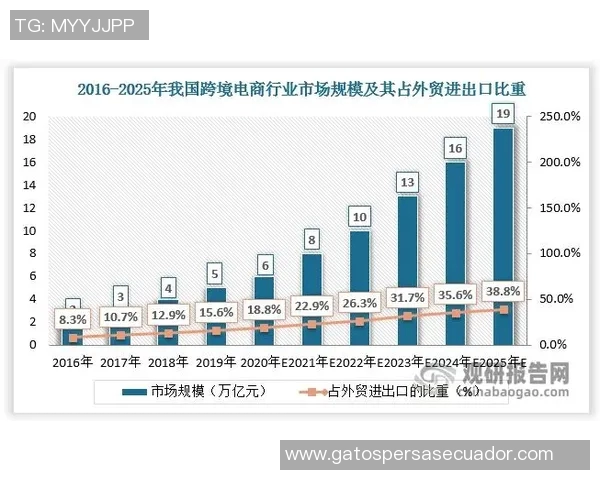 苏宁易购与华夏的竞争分析及市场前景探讨
