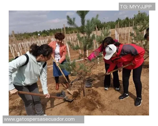 贾诚：在时代浪潮中坚定前行的青年力量与梦想追寻