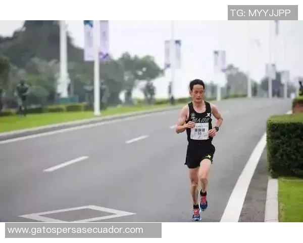 许昕与格林卡激战乒乓球赛场展现顶尖技术与竞技精神的巅峰对决