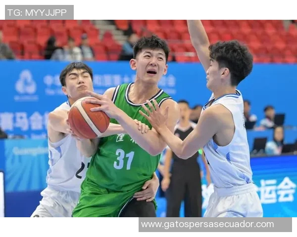 辽宁男篮与江苏男篮全运会激战正酣精彩瞬间回顾与分析