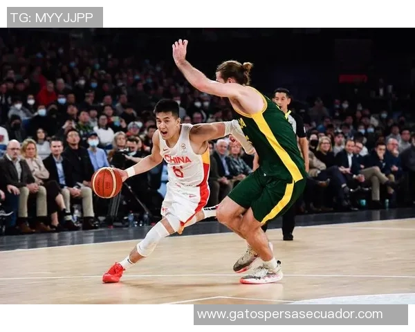 郭艾伦精彩扣篮集锦展现篮球天赋与激情瞬间的完美结合